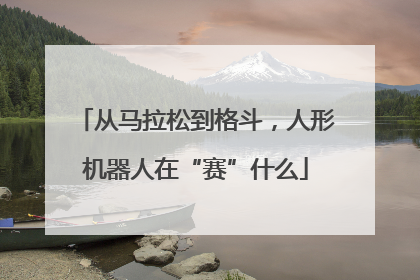 从马拉松到格斗，人形机器人在“赛”什么
