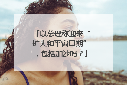 以总理称迎来“扩大和平窗口期”，包括加沙吗？