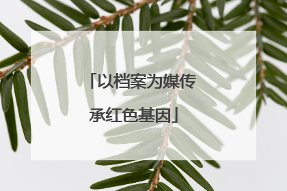 以档案为媒传承红色基因