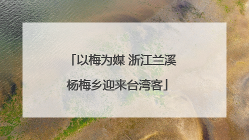 以梅为媒 浙江兰溪杨梅乡迎来台湾客