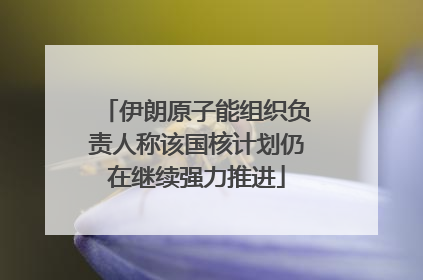伊朗原子能组织负责人称该国核计划仍在继续强力推进