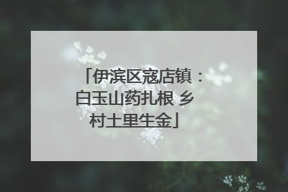 伊滨区寇店镇：白玉山药扎根 乡村土里生金