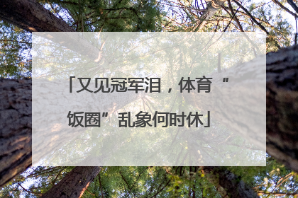 又见冠军泪，体育“饭圈”乱象何时休
