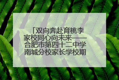 双向奔赴育桃李 家校同心向未来——合肥市第四十二中学南城分校家长学校期末总结会圆满召开