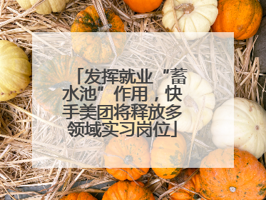 发挥就业“蓄水池”作用，快手美团将释放多领域实习岗位