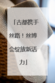 古都携手丝路！丝博会绽放新活力