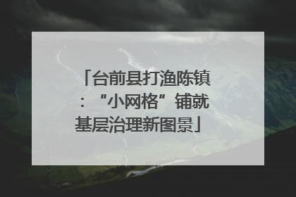 台前县打渔陈镇：“小网格”铺就基层治理新图景