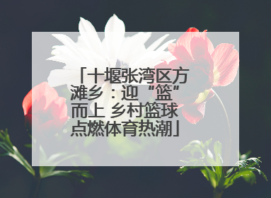 十堰张湾区方滩乡：迎“篮”而上 乡村篮球点燃体育热潮