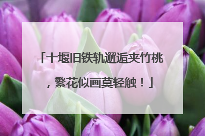 十堰旧铁轨邂逅夹竹桃，繁花似画莫轻触！