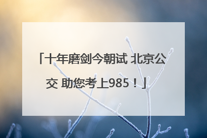 十年磨剑今朝试 北京公交 助您考上985！