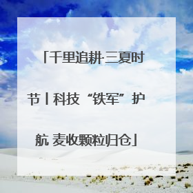 千里追耕·三夏时节丨科技“铁军”护航 麦收颗粒归仓