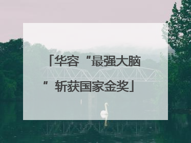 华容“最强大脑”斩获国家金奖