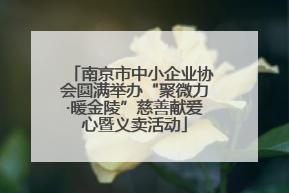 南京市中小企业协会圆满举办“聚微力·暖金陵”慈善献爱心暨义卖活动
