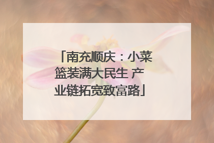 南充顺庆：小菜篮装满大民生 产业链拓宽致富路