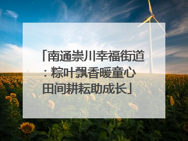 南通崇川幸福街道：粽叶飘香暖童心 田间耕耘助成长