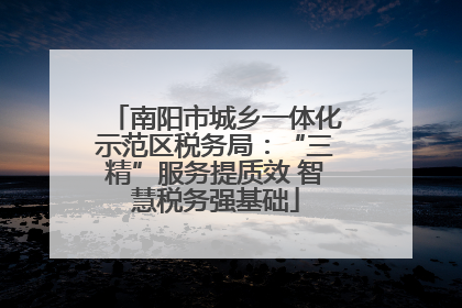 南阳市城乡一体化示范区税务局：“三精”服务提质效 智慧税务强基础