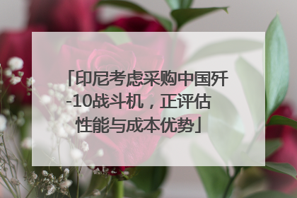 印尼考虑采购中国歼-10战斗机，正评估性能与成本优势