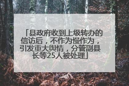 县政府收到上级转办的信访后，不作为慢作为，引发重大舆情，分管副县长等25人被处理