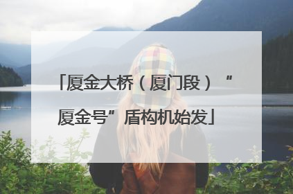 厦金大桥（厦门段）“厦金号”盾构机始发