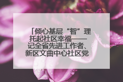 倾心基层“智”理 托起社区幸福——记全省先进工作者、新区文曲中心社区党委书记董世弘