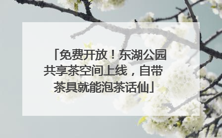 免费开放！东湖公园共享茶空间上线，自带茶具就能泡茶话仙