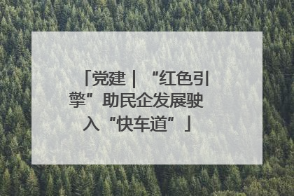 党建｜“红色引擎”助民企发展驶入“快车道”