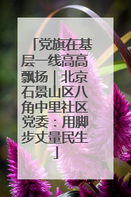 党旗在基层一线高高飘扬｜北京石景山区八角中里社区党委：用脚步丈量民生