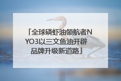 全球磷虾油领航者NYO3以三文鱼油开辟品牌升级新道路