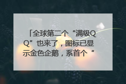 全球第二个“满级QQ”也来了，图标已显示金色企鹅，系首个“满级QQ”的小号