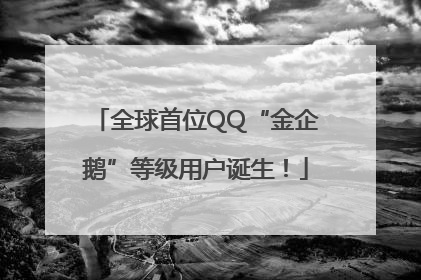 全球首位QQ“金企鹅”等级用户诞生！