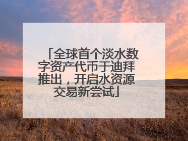 全球首个淡水数字资产代币于迪拜推出，开启水资源交易新尝试