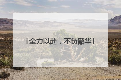 全力以赴，不负韶华