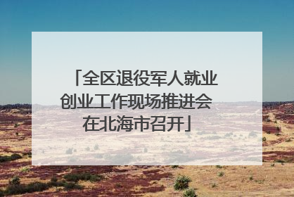 全区退役军人就业创业工作现场推进会在北海市召开
