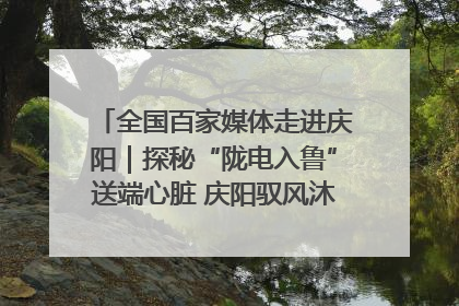 全国百家媒体走进庆阳｜探秘“陇电入鲁”送端心脏 庆阳驭风沐光点亮齐鲁万家