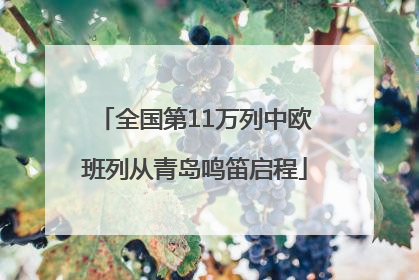 全国第11万列中欧班列从青岛鸣笛启程