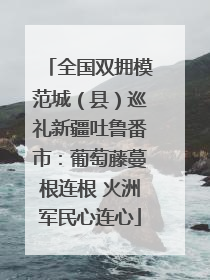 全国双拥模范城（县）巡礼新疆吐鲁番市：葡萄藤蔓根连根 火洲军民心连心