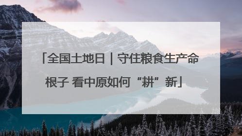 全国土地日｜守住粮食生产命根子 看中原如何“耕”新