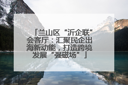 兰山区“沂企联”会客厅：汇聚民企出海新动能，打造跨境发展“强磁场”