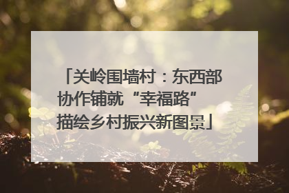 关岭围墙村：东西部协作铺就“幸福路” 描绘乡村振兴新图景