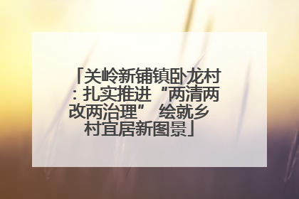 关岭新铺镇卧龙村：扎实推进“两清两改两治理” 绘就乡村宜居新图景
