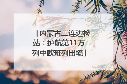 内蒙古二连边检站：护航第11万列中欧班列出境
