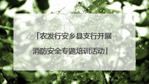 农发行安乡县支行开展消防安全专题培训活动
