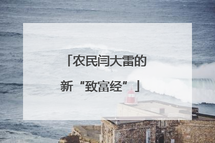 农民闫大雷的新“致富经”