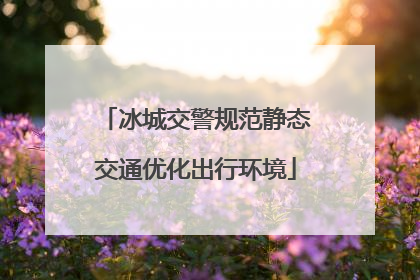 冰城交警规范静态交通优化出行环境