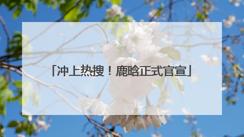 冲上热搜！鹿晗正式官宣