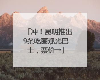 冲！昆明推出9条吃菌观光巴士，票价→