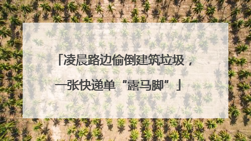 凌晨路边偷倒建筑垃圾，一张快递单“露马脚”