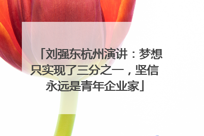 刘强东杭州演讲：梦想只实现了三分之一，坚信永远是青年企业家