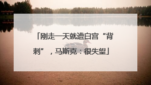 刚走一天就遭白宫“背刺”，马斯克：很失望