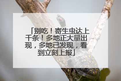 别吃！寄生虫达上千条！多地正大量出现，多地已发现，看到立刻上报